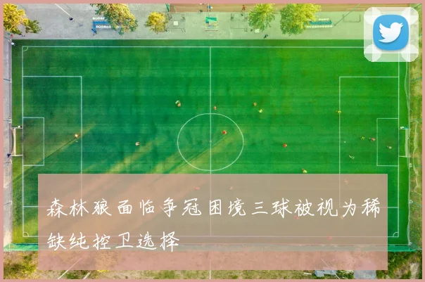 森林狼面临争冠困境三球被视为稀缺纯控卫选择
