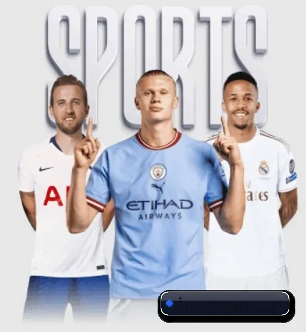 五大服务分区,信息按项目分类 | CROWNSPORTS